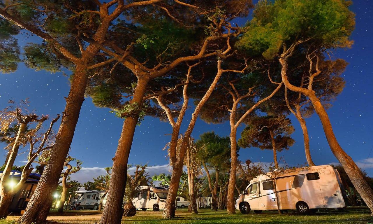 Camping & Bungalows Estanyet Лес-Касес- д'Альканар Экстерьер фото