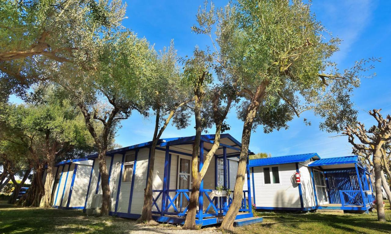 Camping & Bungalows Estanyet Лес-Касес- д'Альканар Экстерьер фото